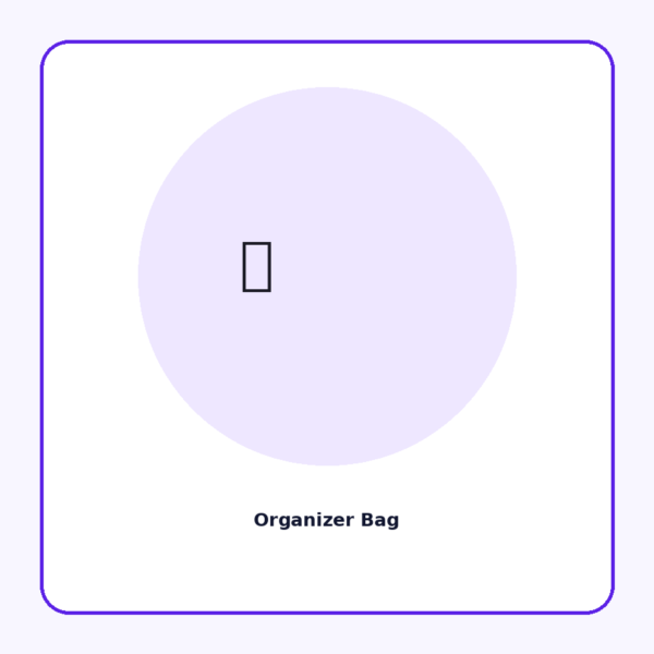 Travel Organizer Bag